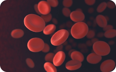 Red Blood Cells Carry oxygen to all cells in the body