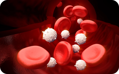 Platelets Helps blood to clot in the event of an injury